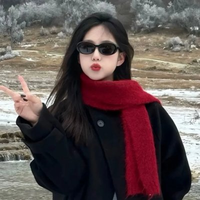 一个人的冬天海报